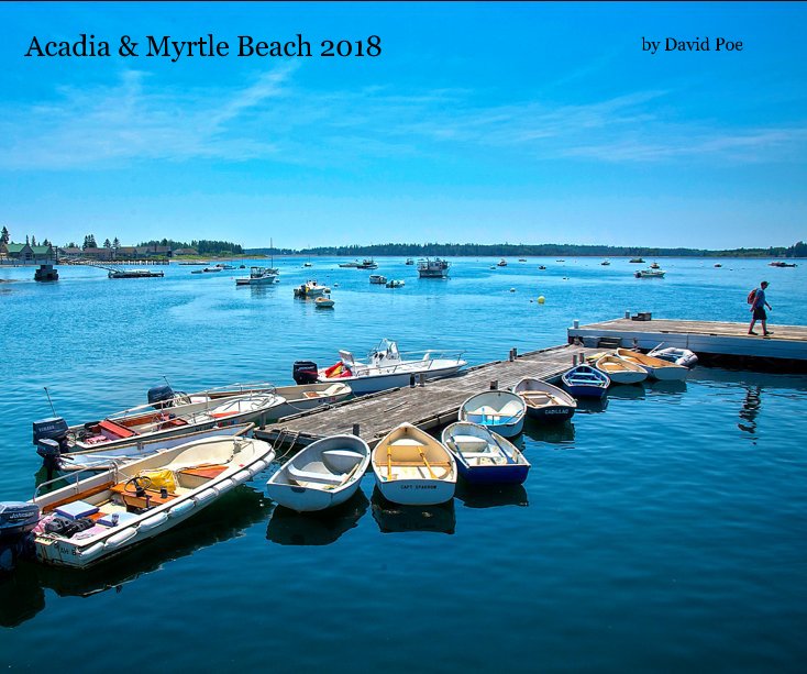 View Acadia and Myrtle Beach 2018 by David Poe