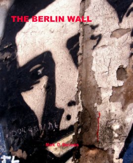 THE BERLIN WALL book cover