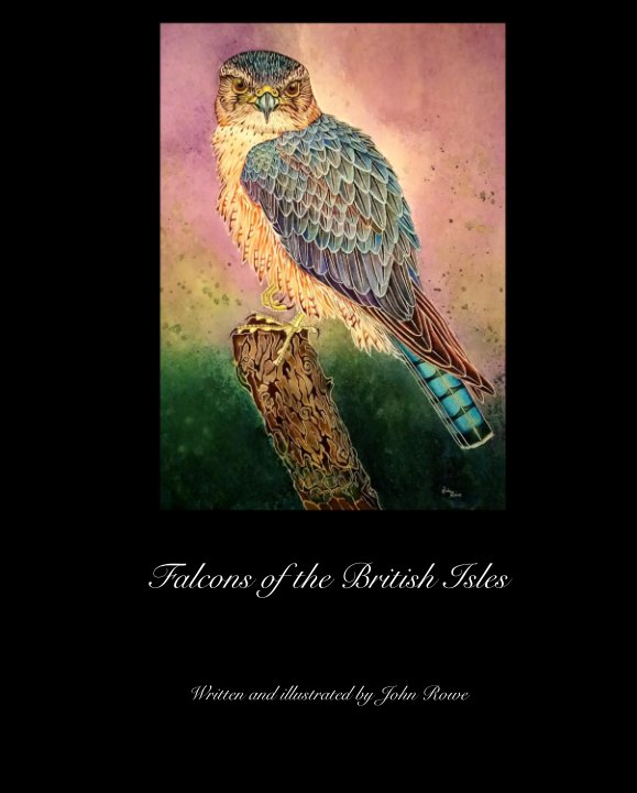 Ver Falcons of the British Isles por John Rowe