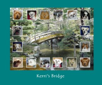 Kerri's Bridge book cover