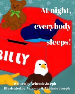 At night everybody sleeps! book cover