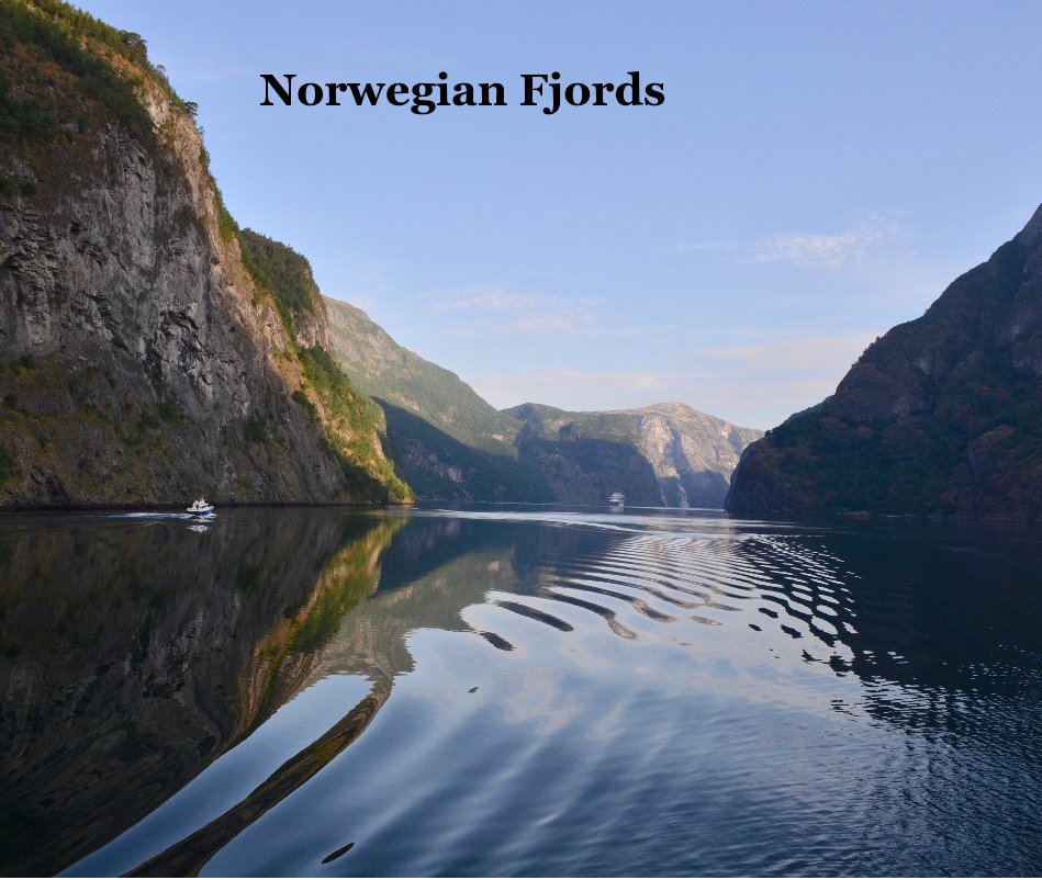 View Norwegian Fjords by Bronwyn Rose