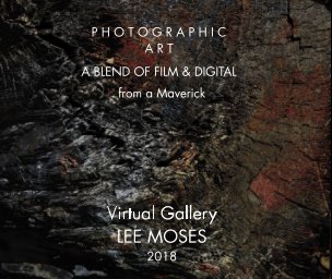 Virtual Gallery
LEE MOSES
2018 book cover