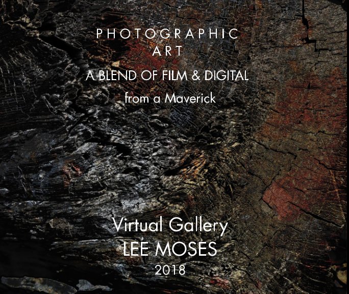 Ver Virtual Gallery
LEE MOSES
2018 por Lee Moses