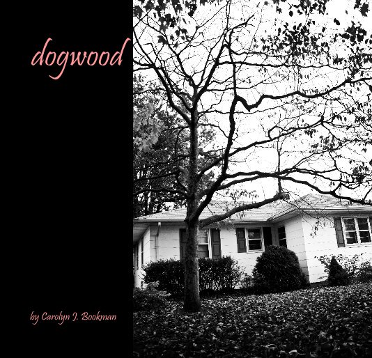 View dogwood by Carolyn J. Bookman
