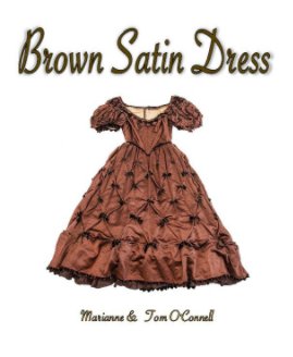 Brown Satin Dress book cover