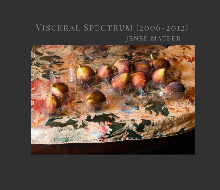 View Visceral Spectrum (2006-2012) by Jenee Mateer