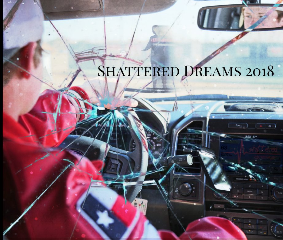 View Shattered Dreams 2018 by Elaine Yznaga