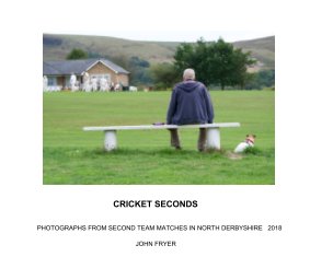 CRICKET SECONDS  2018 book cover