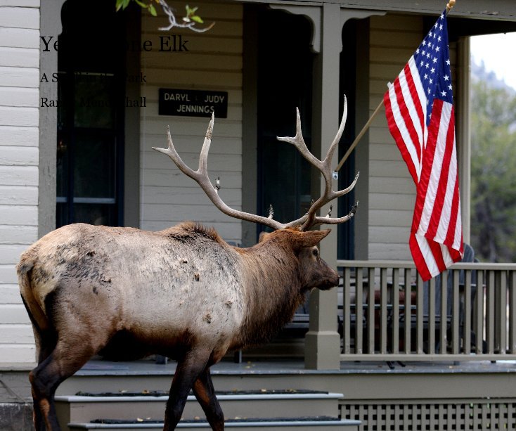 Ver Yellowstone Elk por Randy Mendenhall