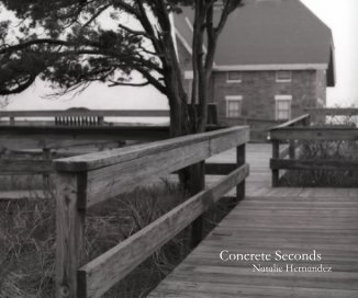 Concrete Seconds book cover