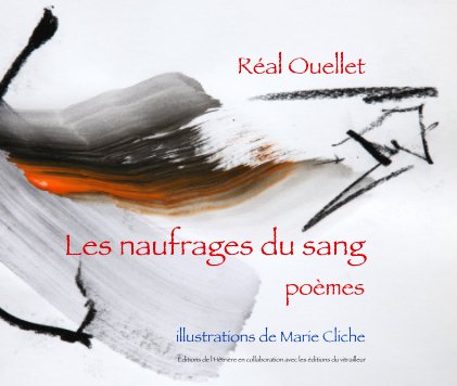 Les naufrages du sang book cover