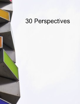 30 Perspectives book cover