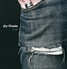 dry Denim book cover