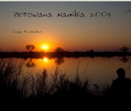 Botswana Namibia 2009 book cover