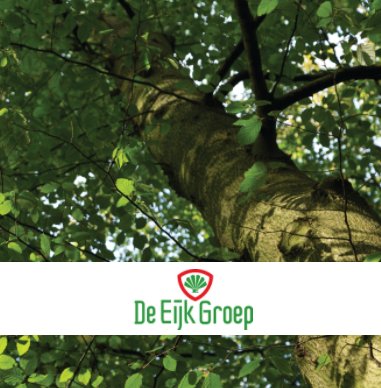 De Eijk Groep book cover