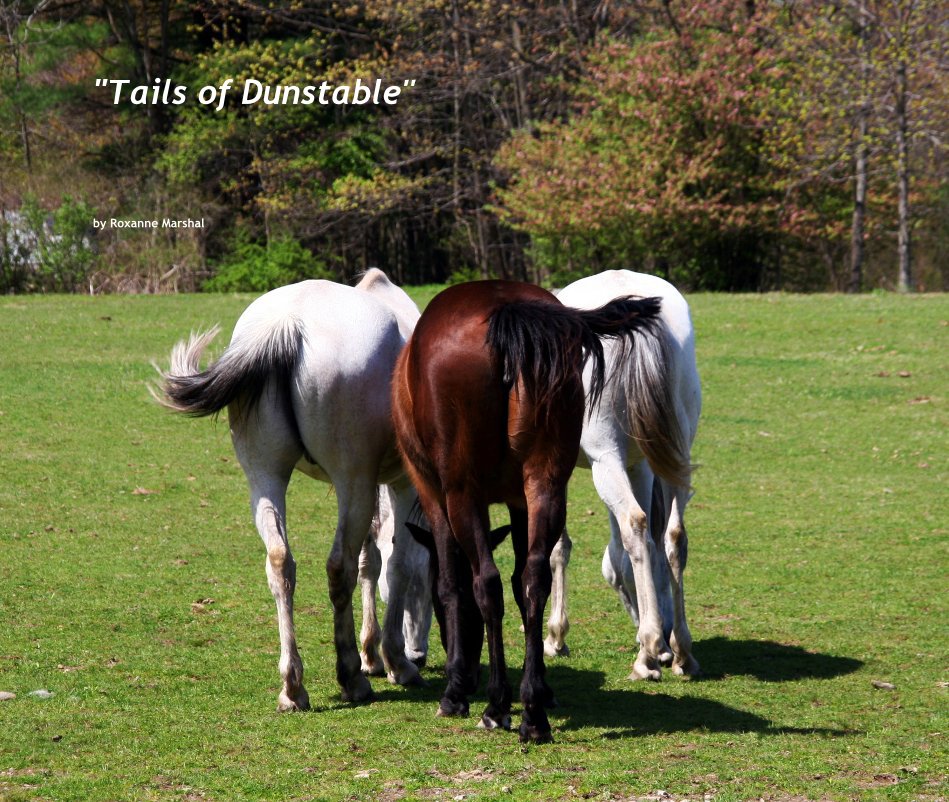 View "Tails of Dunstable" by Roxanne Marshal