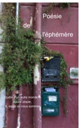 L'éphémère des villes book cover