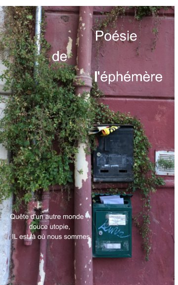 View L'éphémère des villes by Michel Bur
