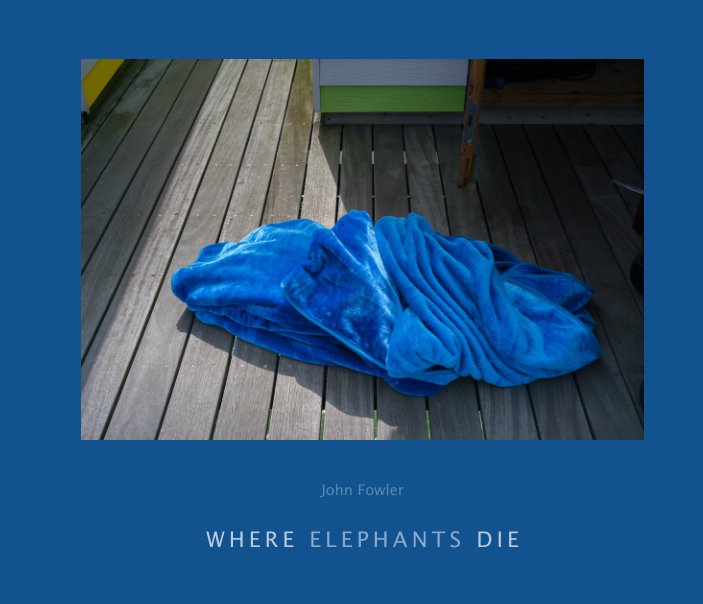 View Where Elephants Die by John Fowler