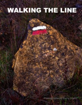 Walking The Line book cover