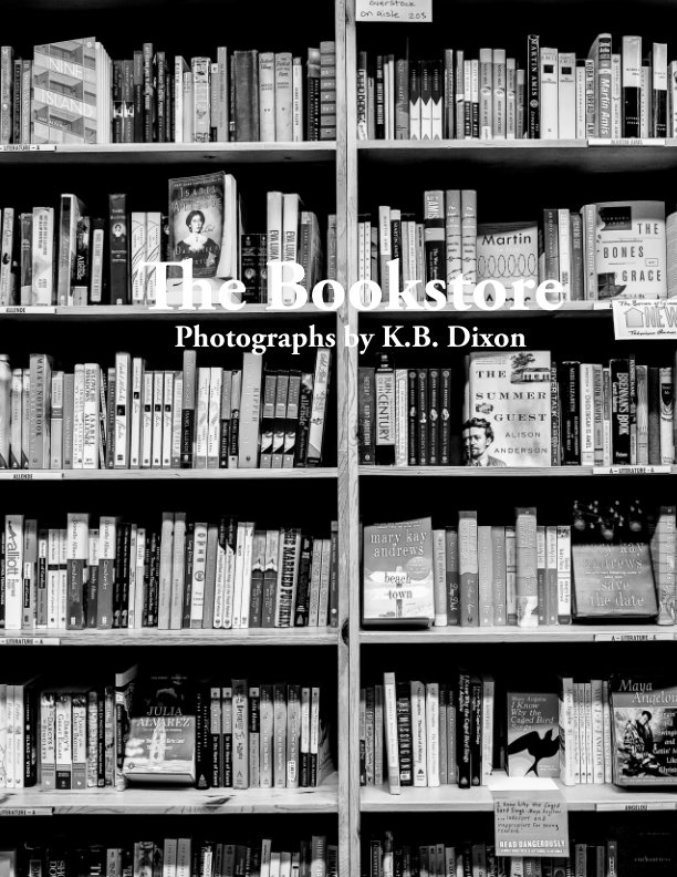 View The Bookstore by K. B. Dixon