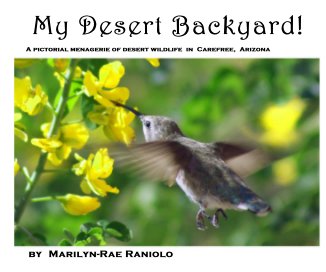 My Desert Backyard! book cover