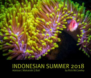 Indonesian Summer 2018 book cover