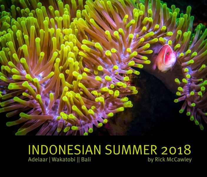 View Indonesian Summer 2018 by Rick McCawley