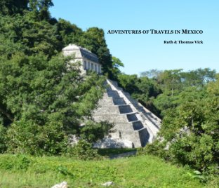 Adventures of Travels in Mexico book cover