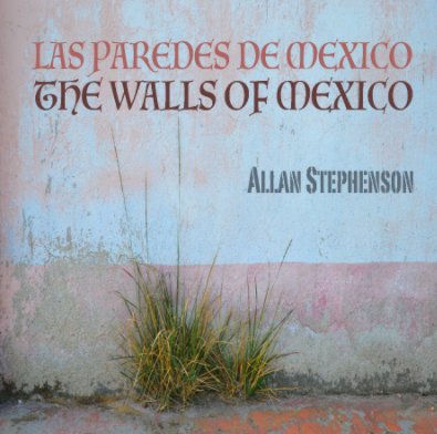 The Walls of Mexico book cover