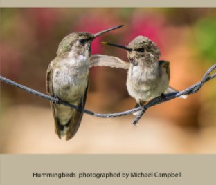 Hummingbird Book book cover