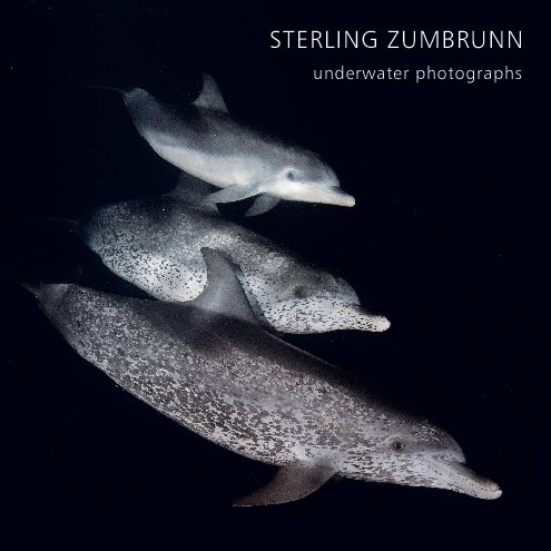 View underwater photographs by Sterling Zumbrunn