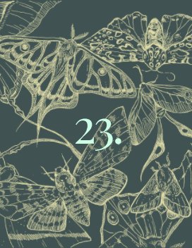 23. book cover