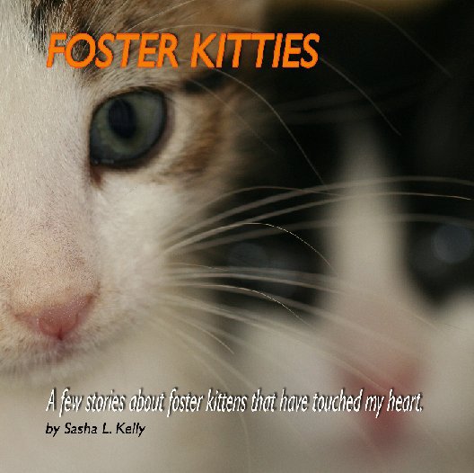 View Foster Kitties by Sasha L. Kelly