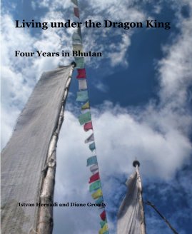 Living under the Dragon King book cover