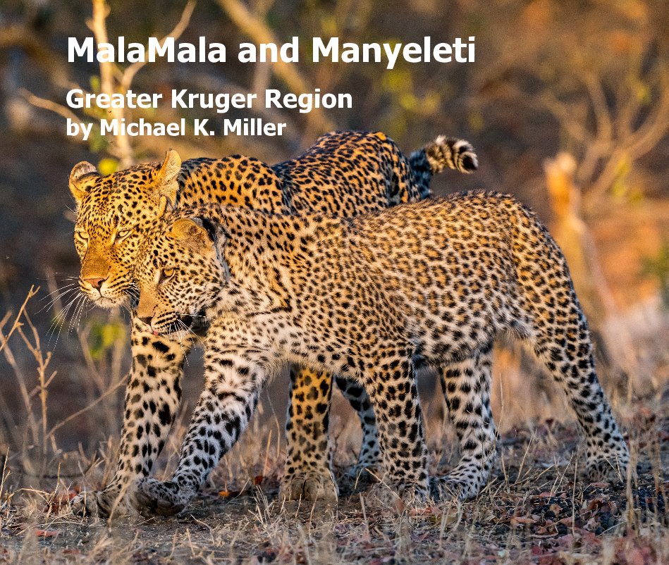 Ver MalaMala and Manyeleti por Michael K. Miller
