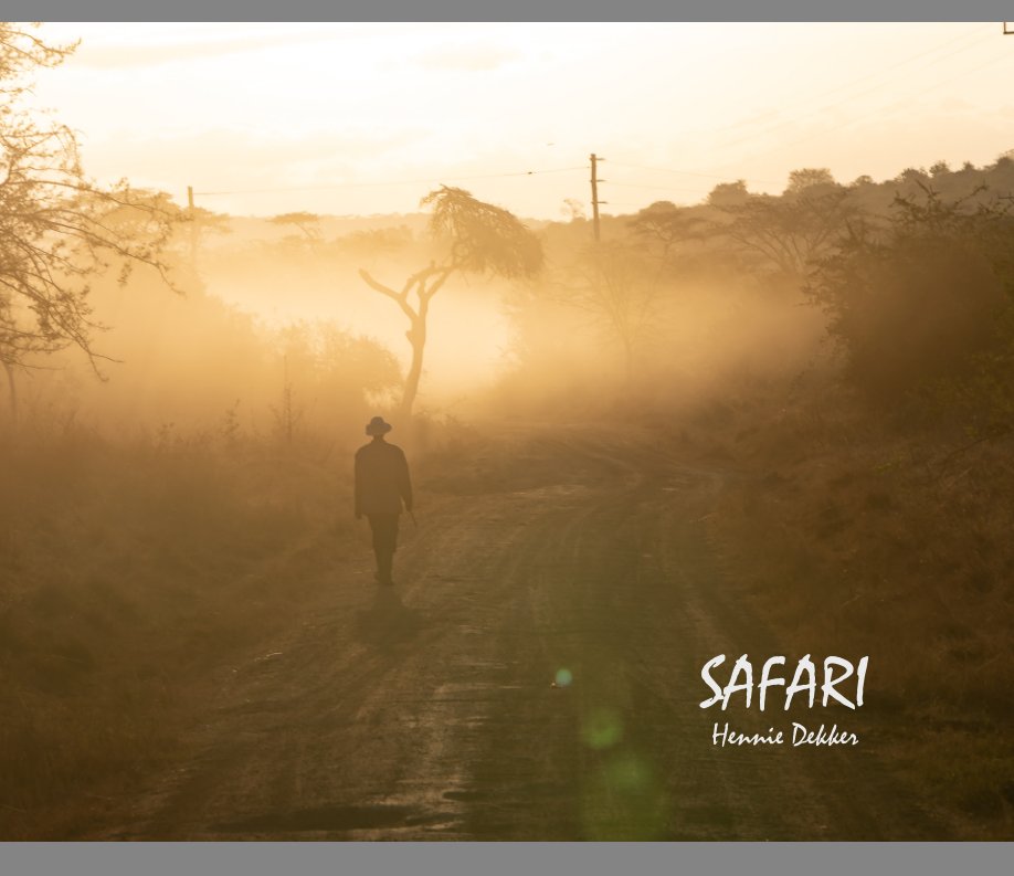 View Safari by Hennie Dekker