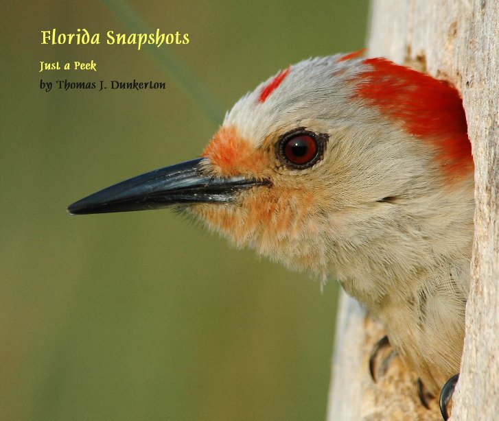 Ver Florida Snapshots por Thomas J. Dunkerton