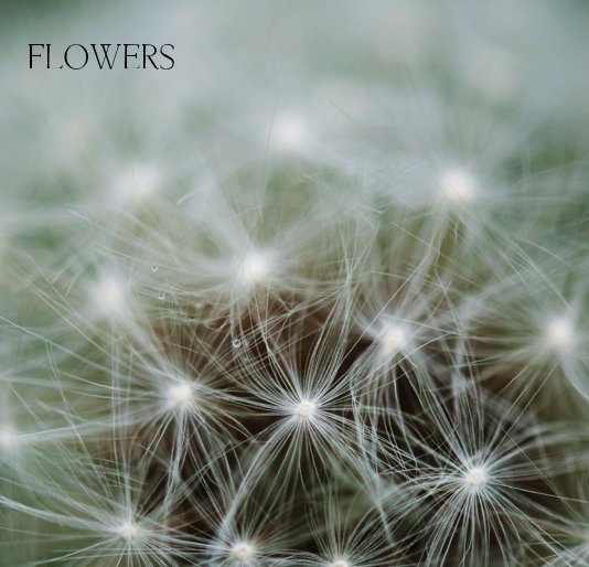 View FLOWERS by MICHELLE HUISMAN