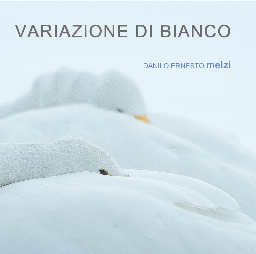 View Variazione di bianco by DANILO ERNESTO melzi