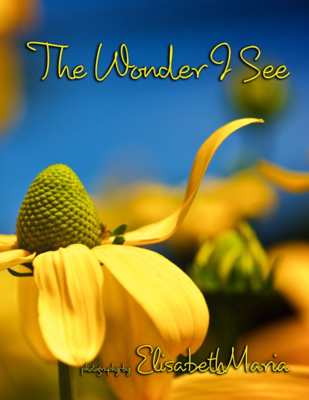 View The Wonder I See by Elisabeth Maria Smith