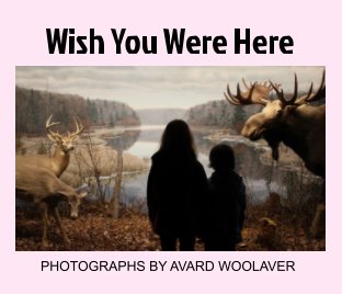 Wish You Were Here book cover