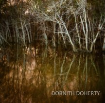 Deluge: New Works by Dornith Doherty book cover