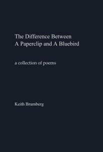 The Difference Between A Paperclip and A Bluebird book cover