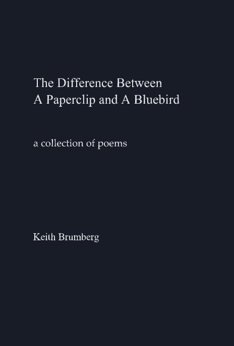 View The Difference Between A Paperclip and A Bluebird by Keith Brumberg