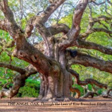 The Angel Oak: Through the Lens of Kim Bresnihan Elliott book cover