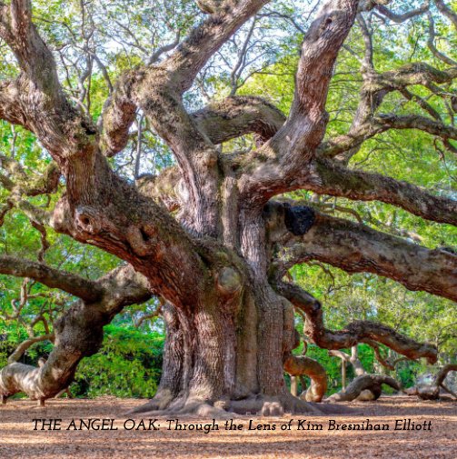 Ver The Angel Oak: Through the Lens of Kim Bresnihan Elliott por Kim Bresnihan Elliott