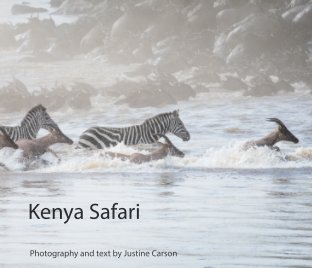 Kenya Safari book cover