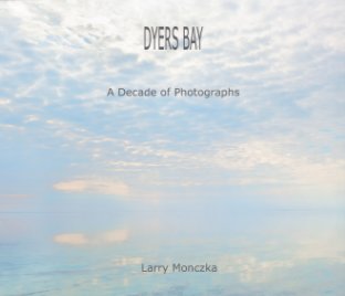 Dyers Bay book cover